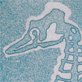Etchings