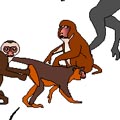 illustrations